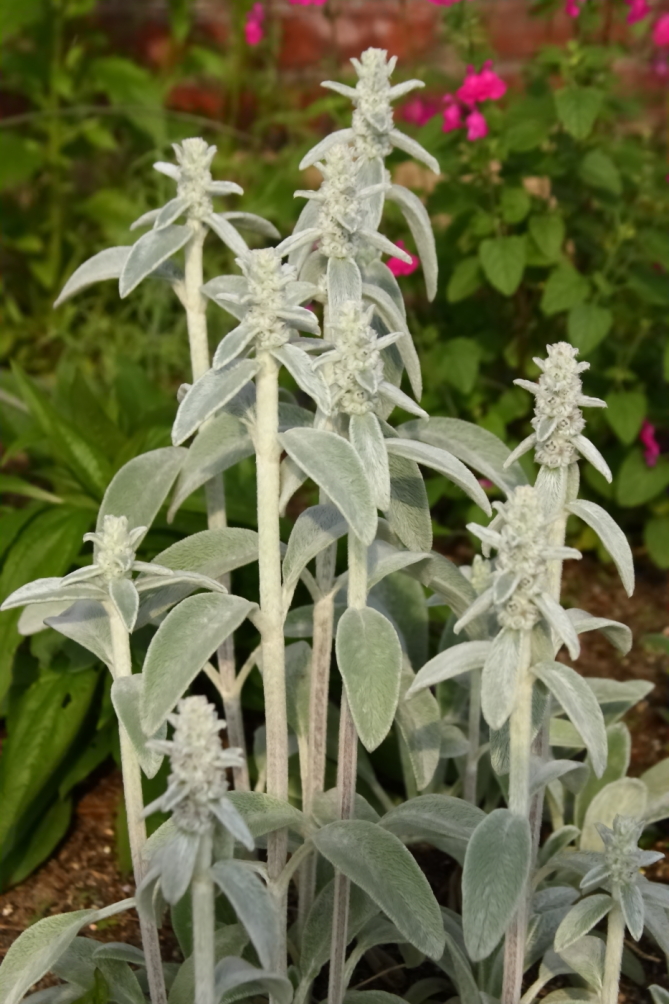 2012 05 16 2777